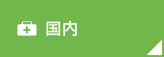 国内